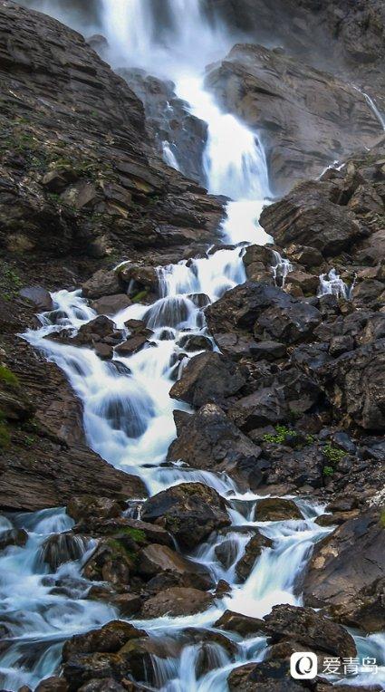 小僵尸射飞鸟
