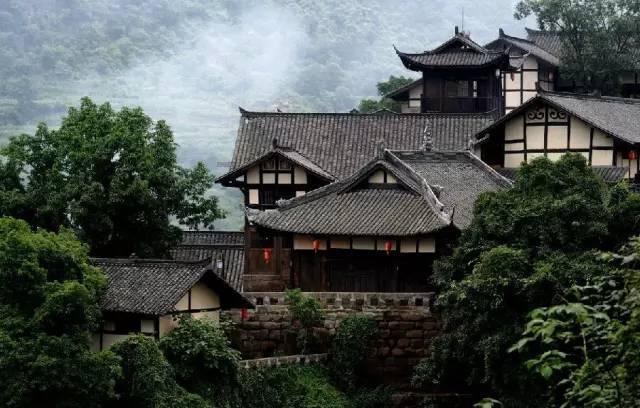 大鹰森林逃生