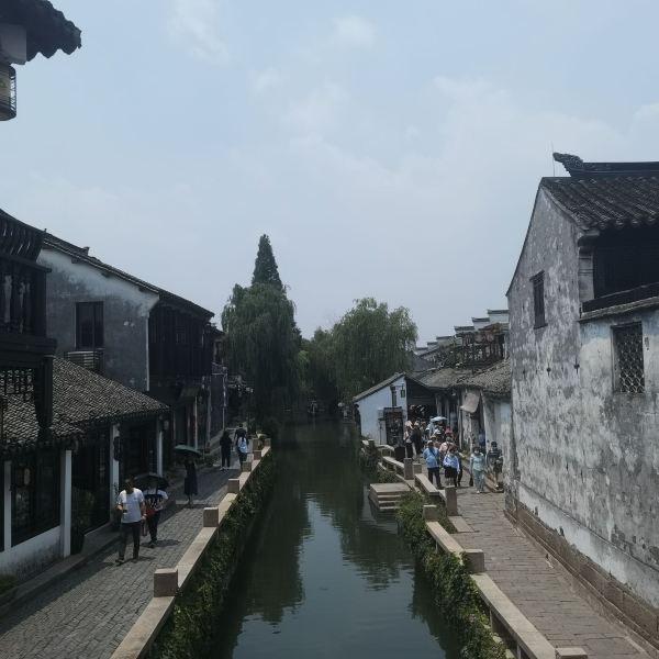 救援可爱小松鼠