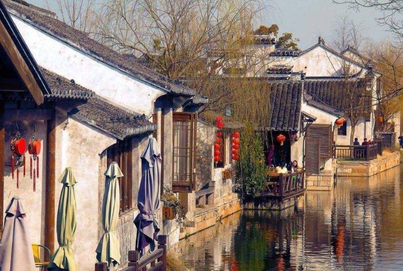 救援淘气的小狗
