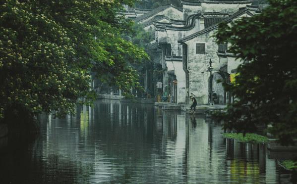 88影视