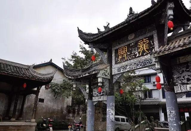 可爱的小孔雀救援