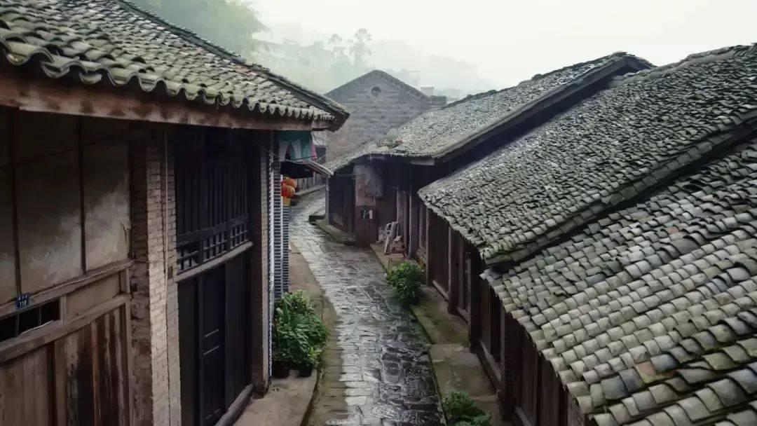 现在85花和95生合作,也需要撕番位了?