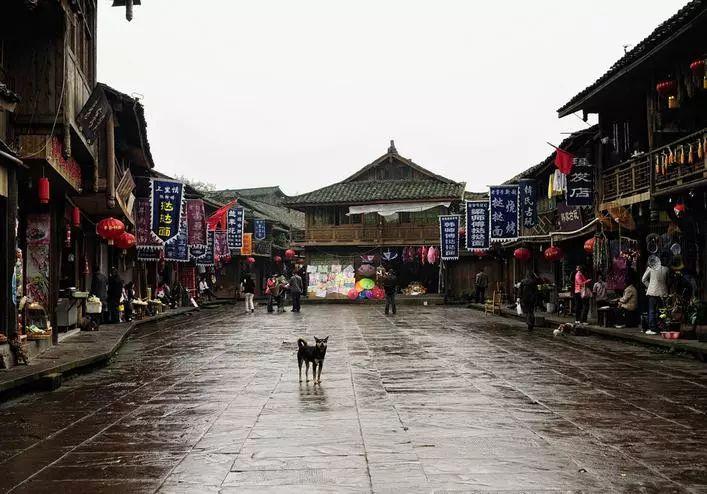 蓝狐视频