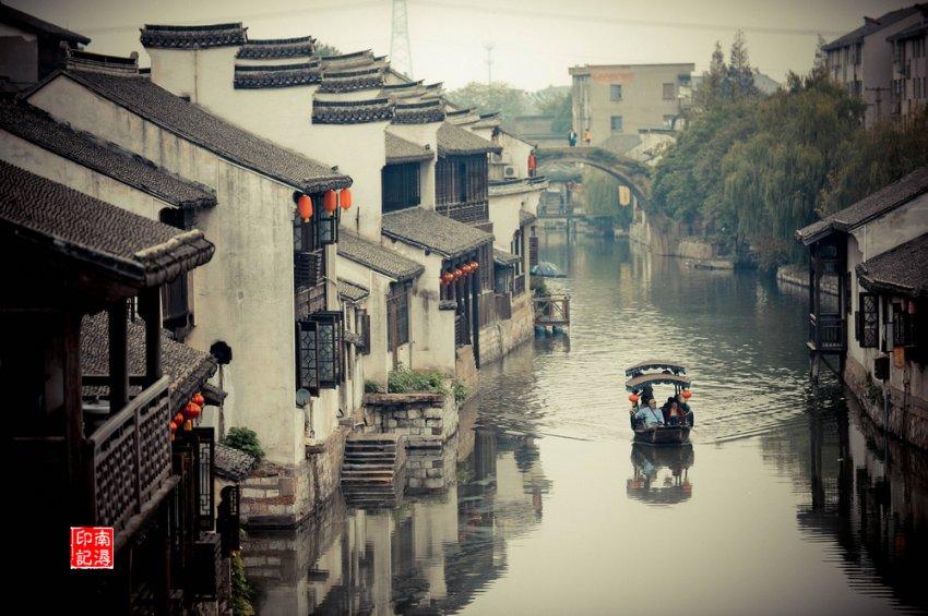 近危物种罗纹鸭现身莲花池公园