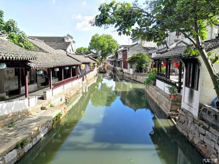 动物帮帮忙保卫家园