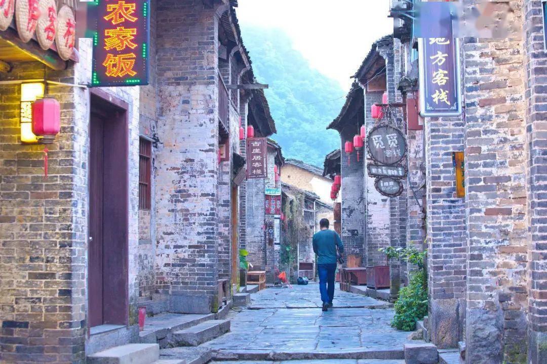 王家卫背后的女人,倒追王家卫,先结婚后恋爱,终成他的“缪斯女神”