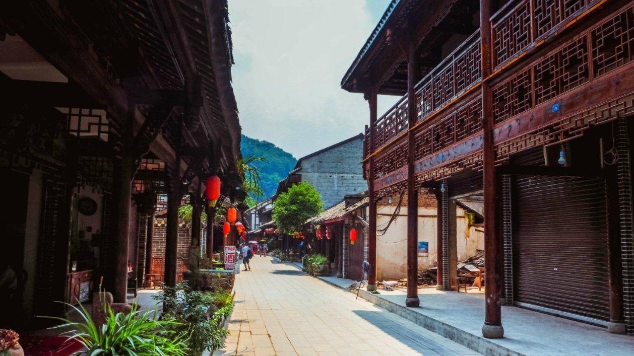饥饿的松鼠救援
