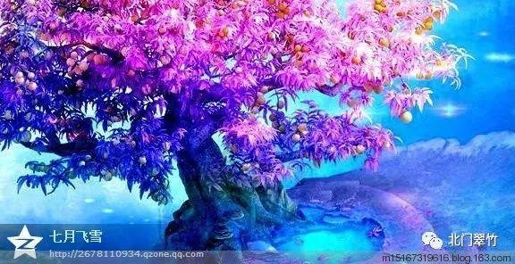 废弃海盗船逃脱