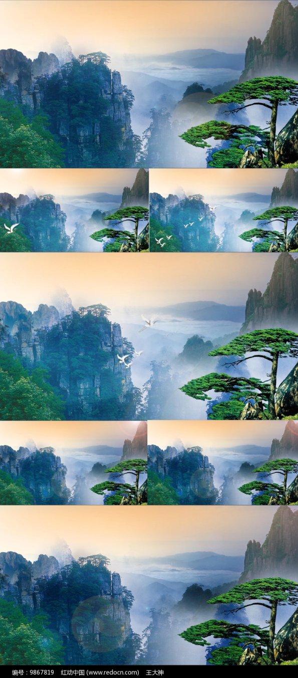 春雨直播app
