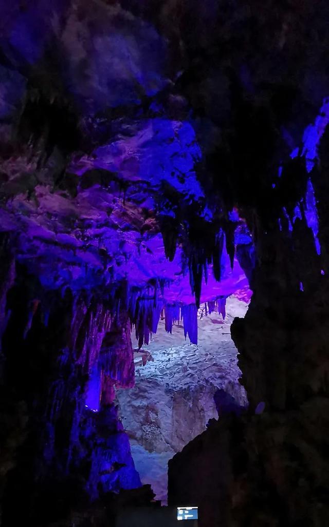 沪江开心词场