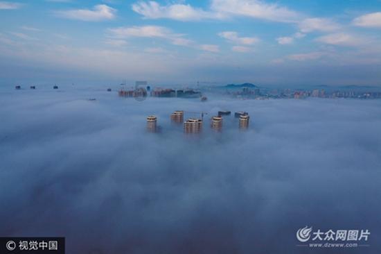 动物帮帮忙保卫家园